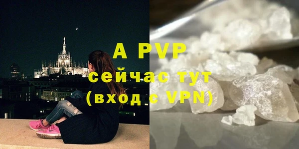 ПСИЛОЦИБИНОВЫЕ ГРИБЫ Иннополис