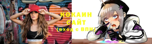 меф Инта