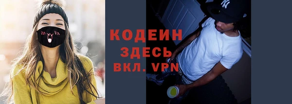 индика Карпинск