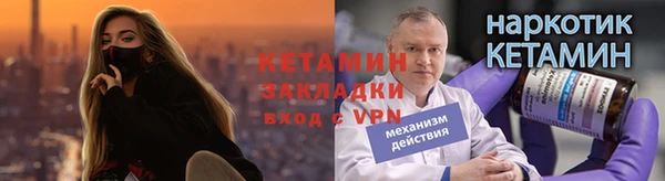 индика Карпинск