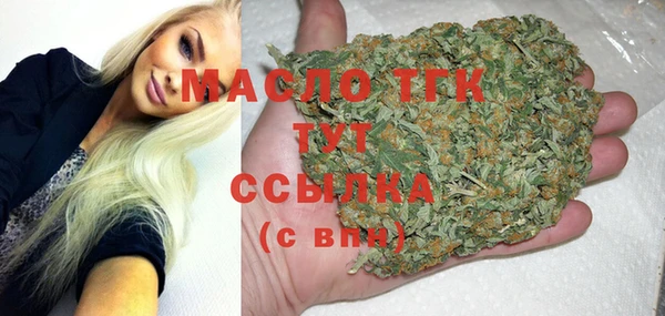 индика Карпинск