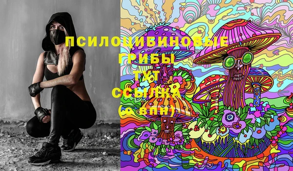 ПСИЛОЦИБИНОВЫЕ ГРИБЫ Иннополис