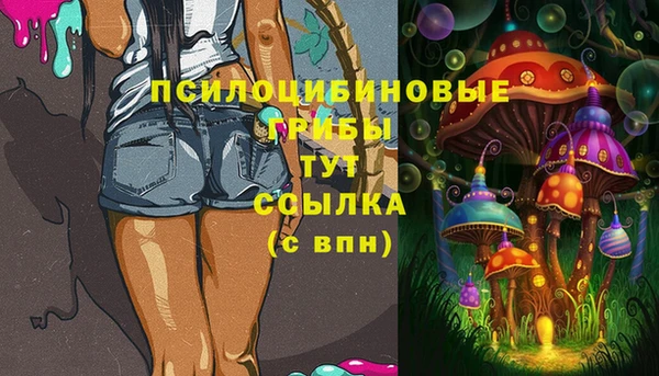 меф Инта